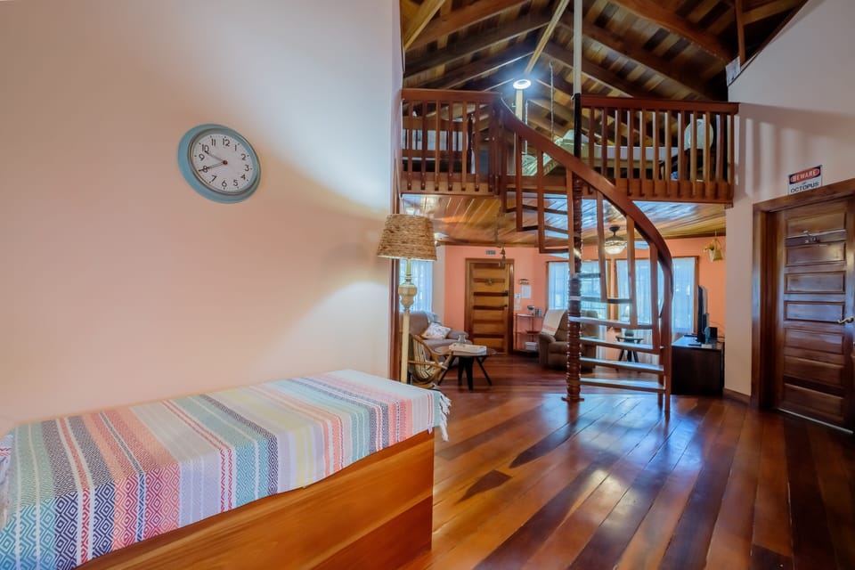 Loft Access (2)