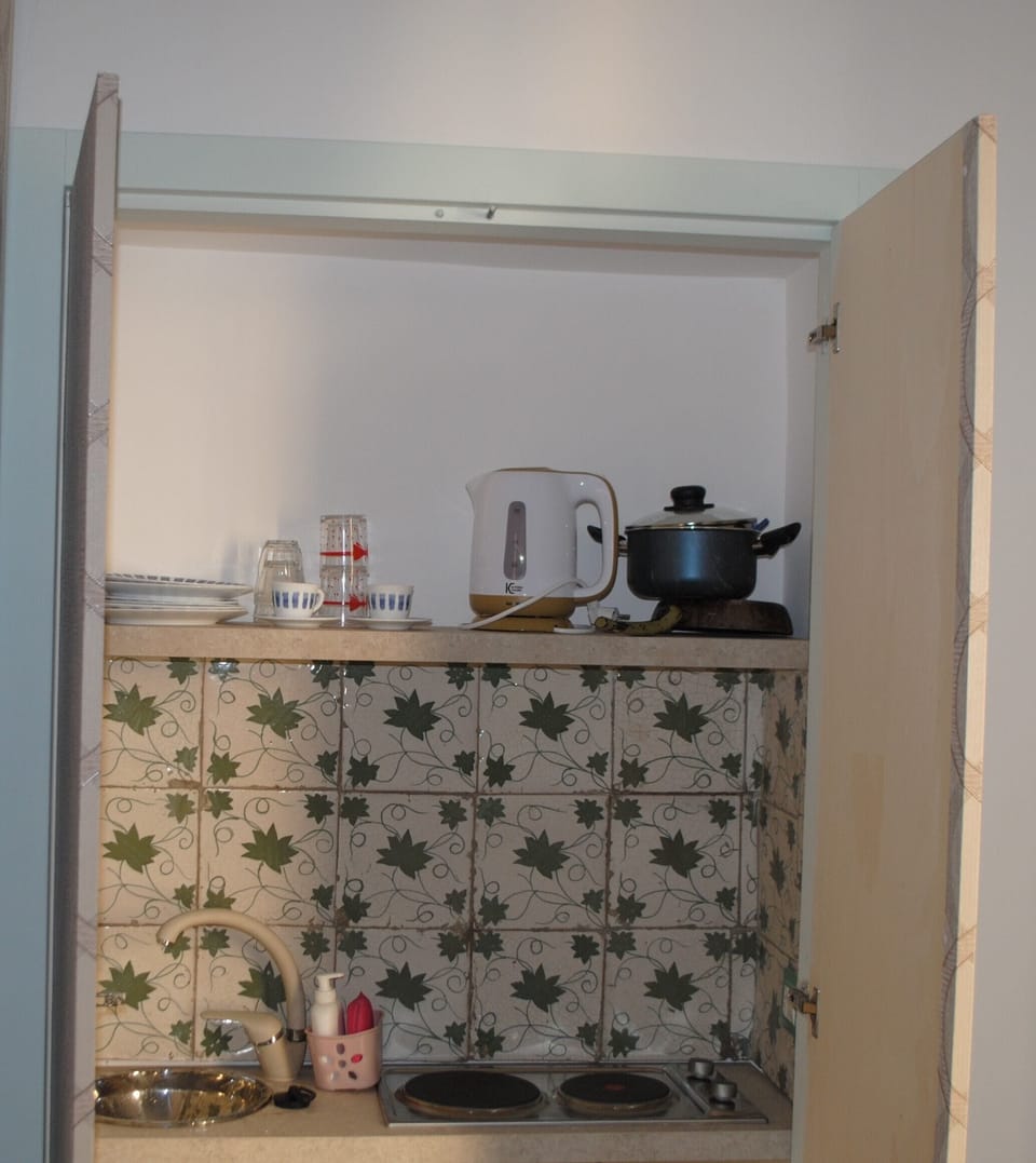 Deluxe Double or Twin Room, Balcony | Private kitchen | Fridge, stovetop, cookware/dishes/utensils