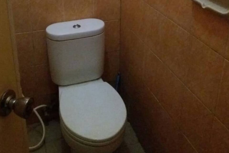 Deluxe Double Room | Bathroom | Shower, towels, soap
