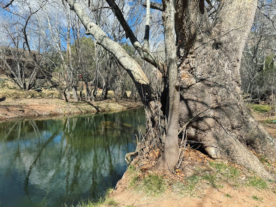 East Verde River within walking distance of cabin