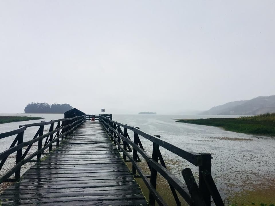 Dock