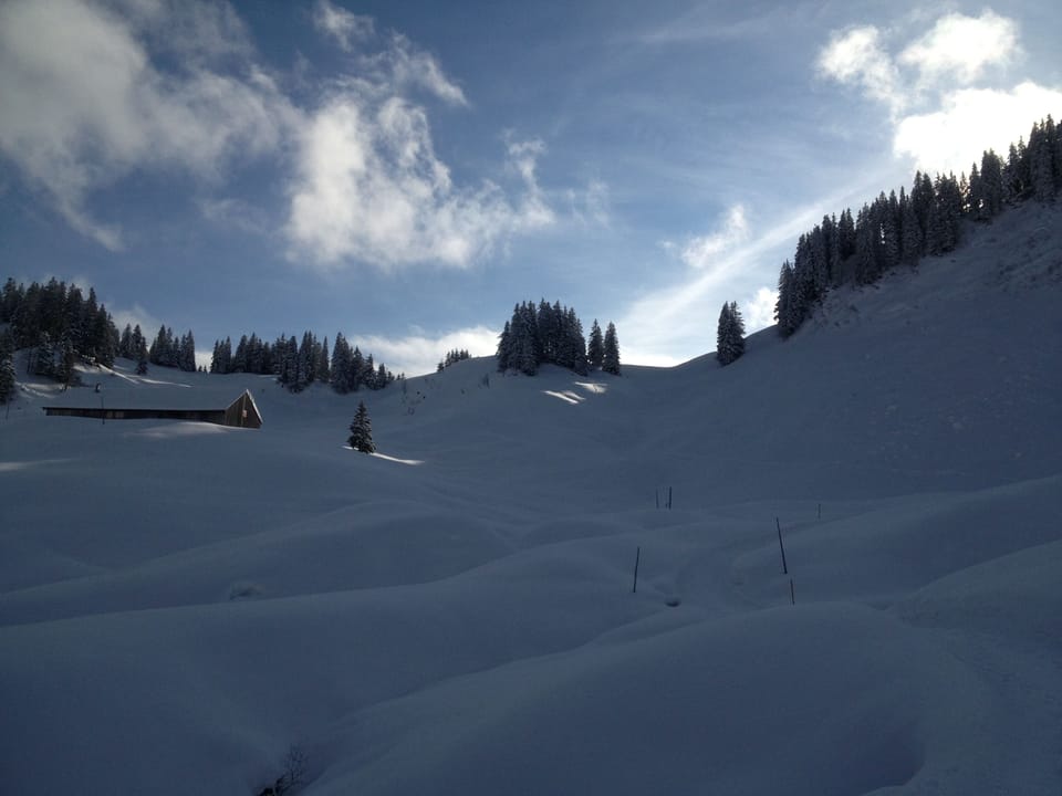 Snow and ski sports