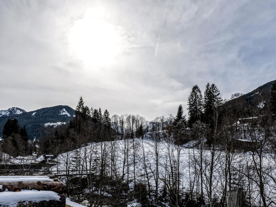 Immediate Surroundings [winter] (<1 km)