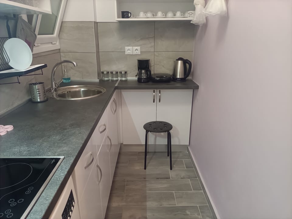 City Single Room | Private kitchen | Mini-fridge, microwave, oven, stovetop