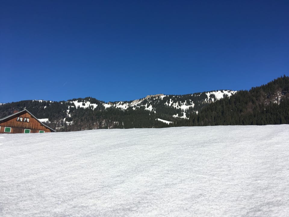 Snow and ski sports