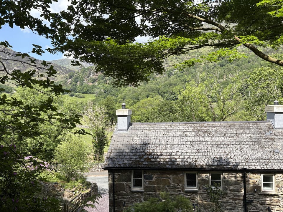 Cottage | Miscellaneous
