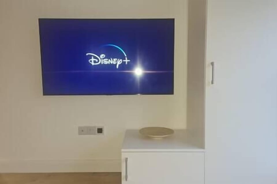 Keeps the children happy on Disney Plus ,complimentary 
