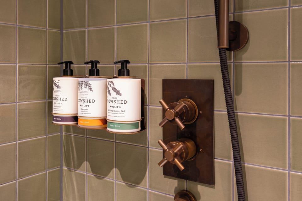 Free toiletries, hair dryer, towels