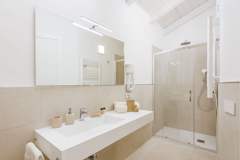 Deluxe Room, 1 King Bed, Non Smoking, Vineyard View | Bathroom | Shower, rainfall showerhead, free toiletries, hair dryer
