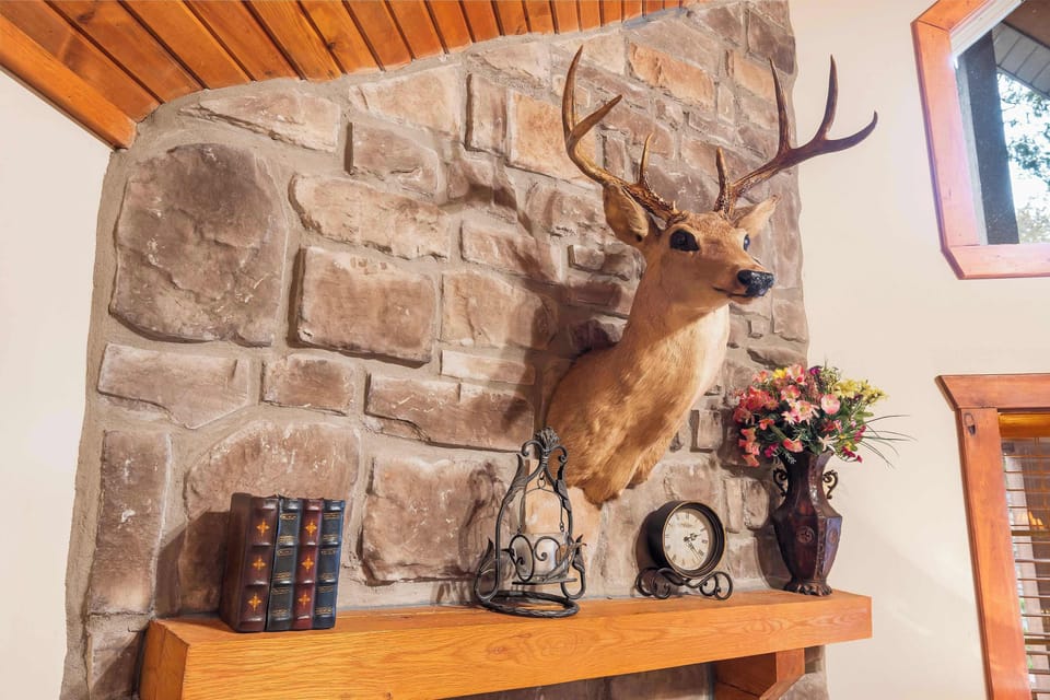 Cabin, Multiple Beds, Patio, Mountain View (Creekside) | Interior