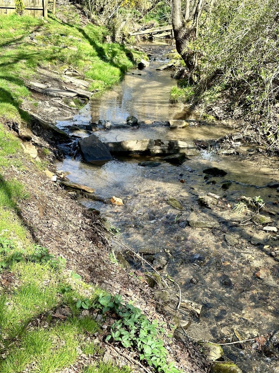 All year babbling creek.