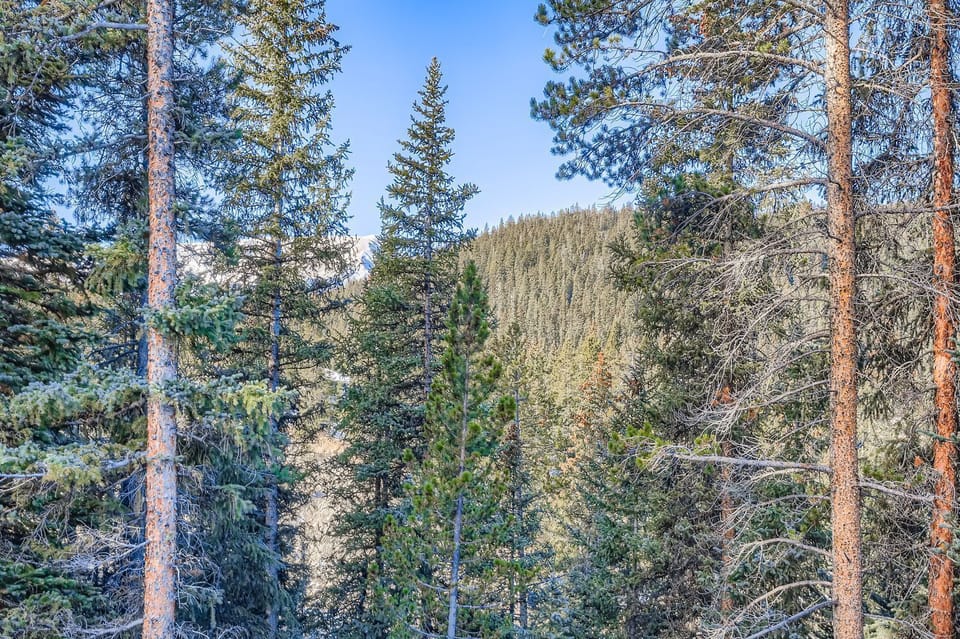 Exterior View from Deck 