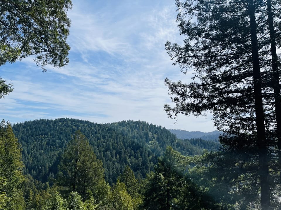 Dining room view.