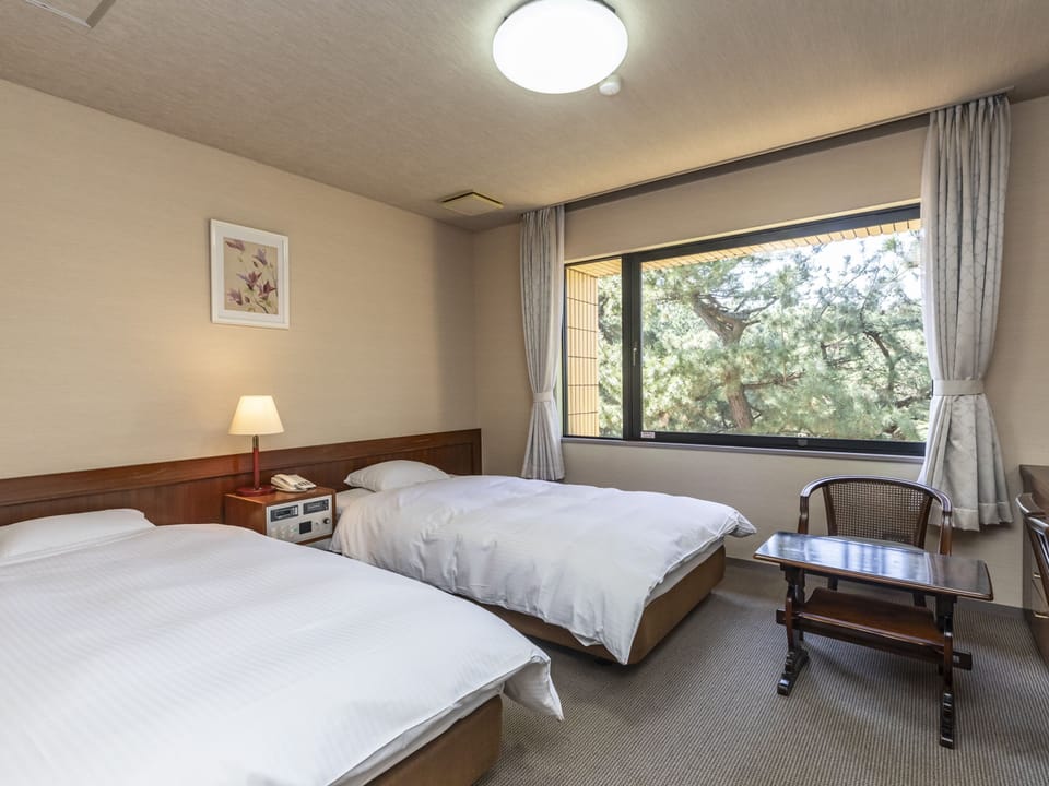 Premium Twin Room, Non Smoking | Iron/ironing board (on request), WiFi (free)