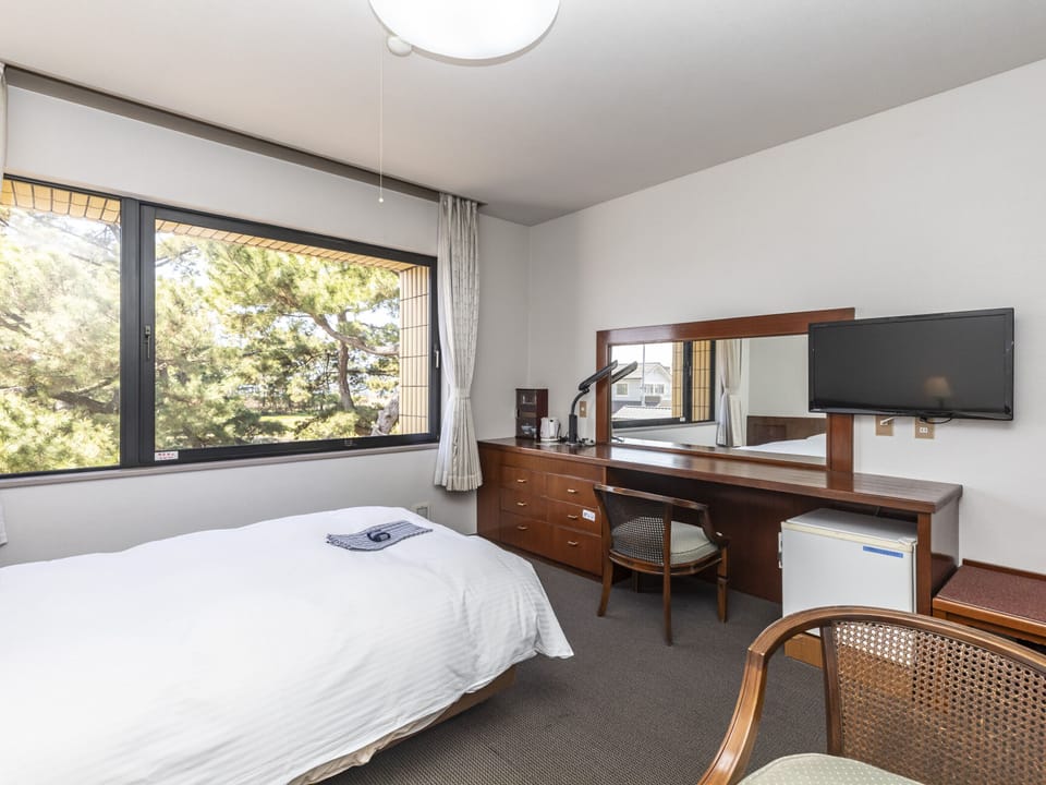 Premium Single Room, Non Smoking | Iron/ironing board (on request), WiFi (free)