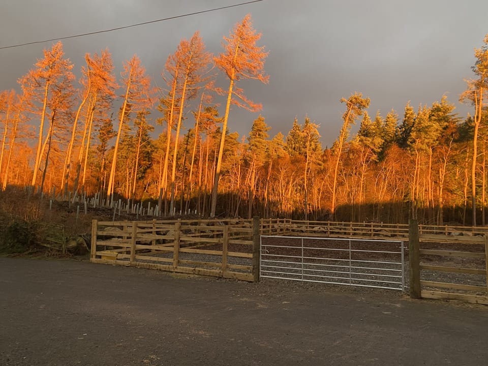 Image 15