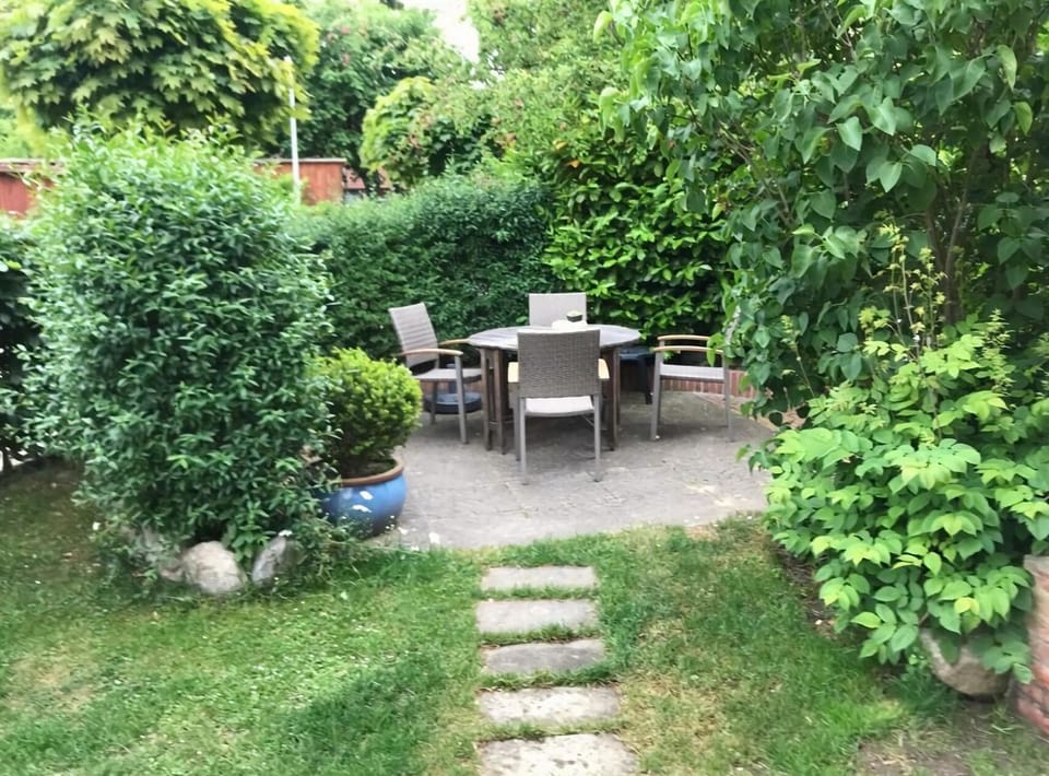 Garden [summer]