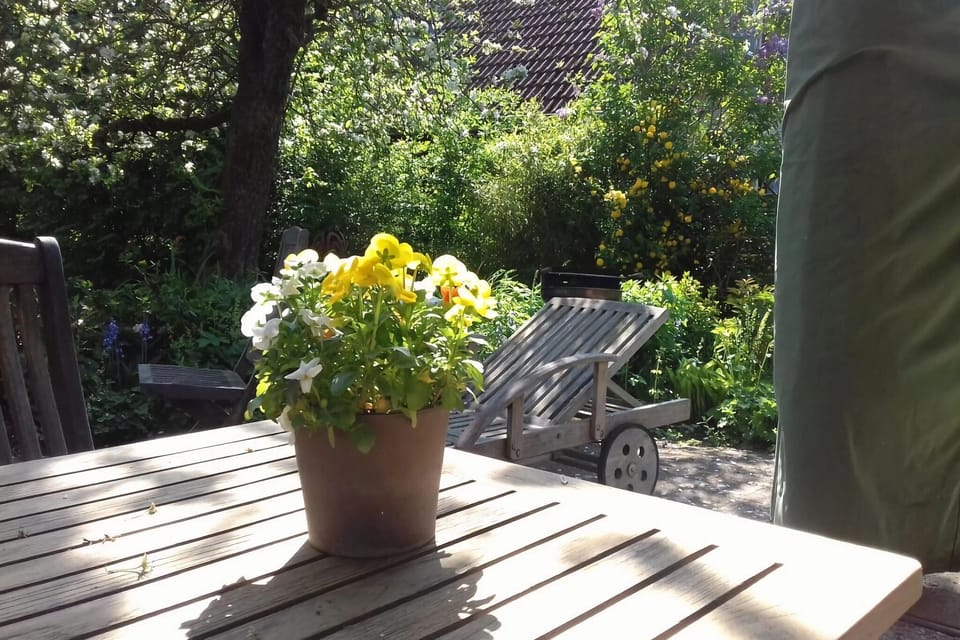 Patio / Balcony