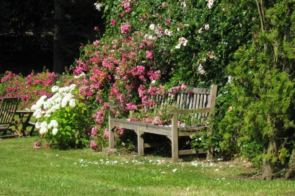 Garden [summer]