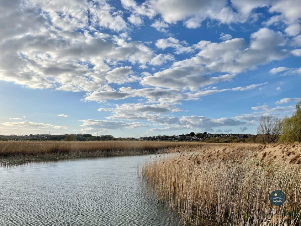 Radipole Lake