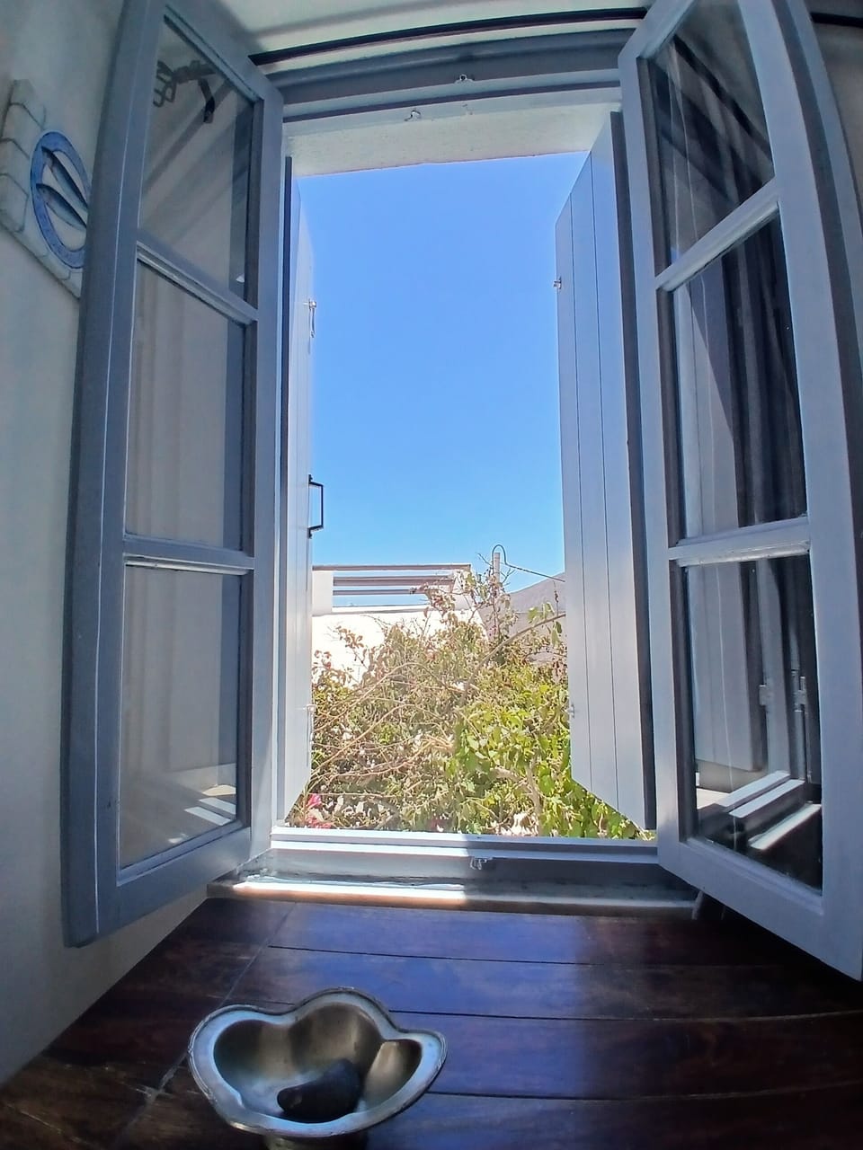 Bougainvillea view