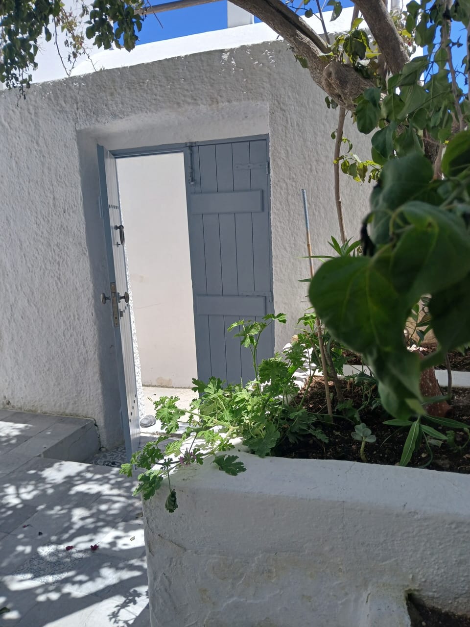 Ground level yard