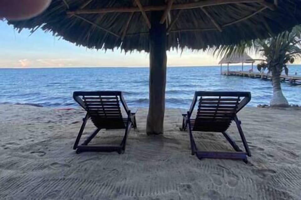 04e77dcc-9208-4d90-b49e-bfb57913f81c