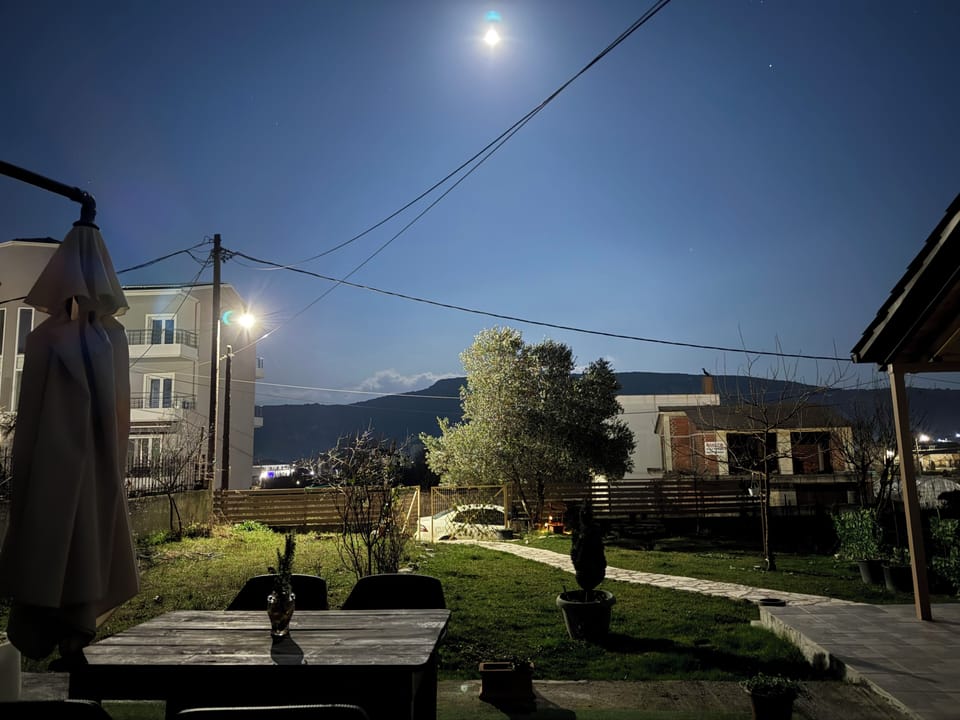 View from the garden