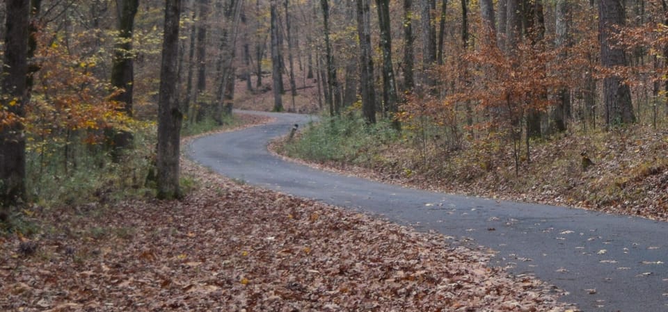 Beaver's Bend State Park