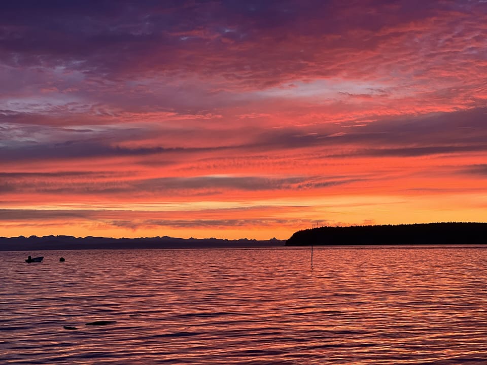 Golden hues over the ocean—Savary sunsets never disappoint.