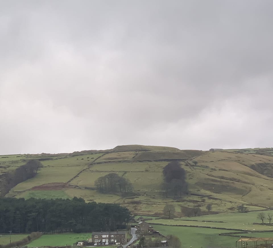 Image 23
