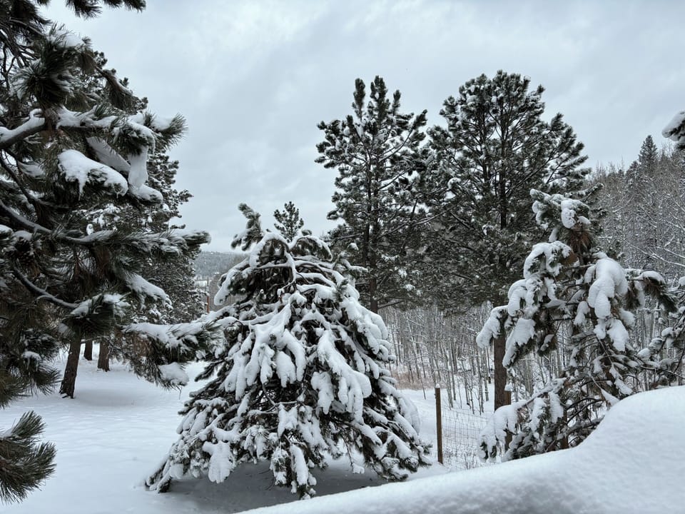 Big Snow Storm Transforms Our Property Into A Winter Wonderland 