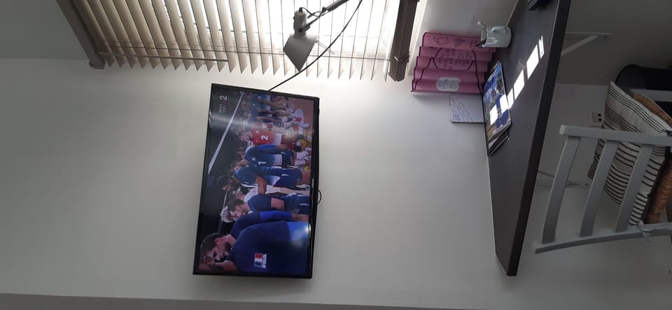 Television