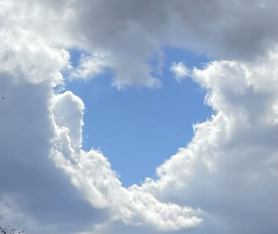 Love is in the air ❤️