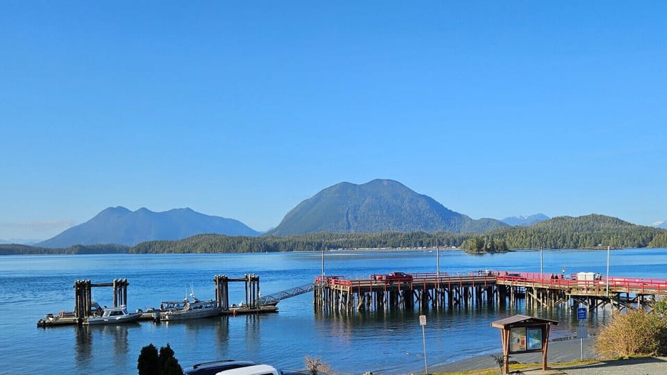 The view from the deck overlooking the dock
