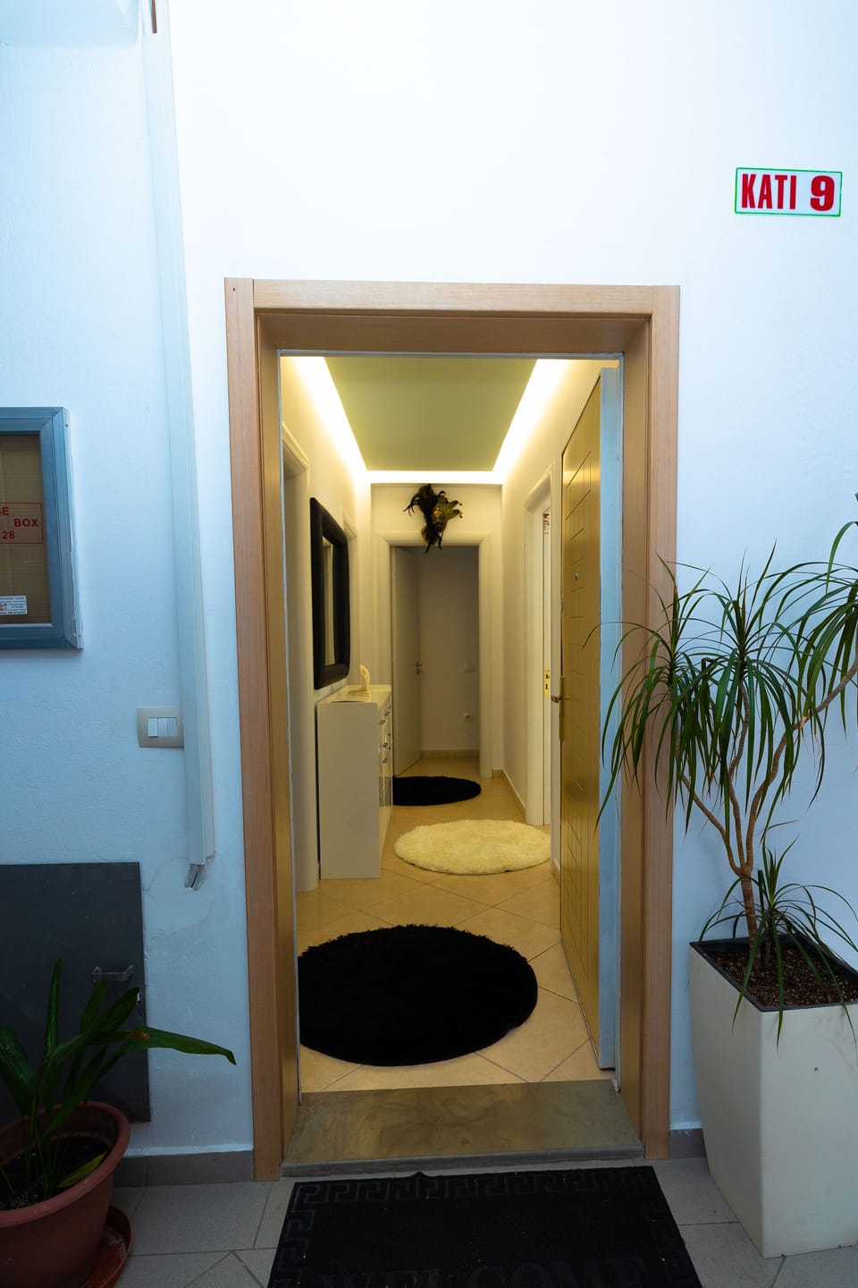 Image 22