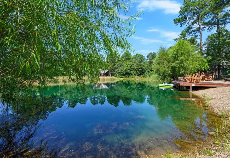 A peaceful lake setting, where the reflections of weeping willows dance on the water's surface, offering a sense of tranquility.