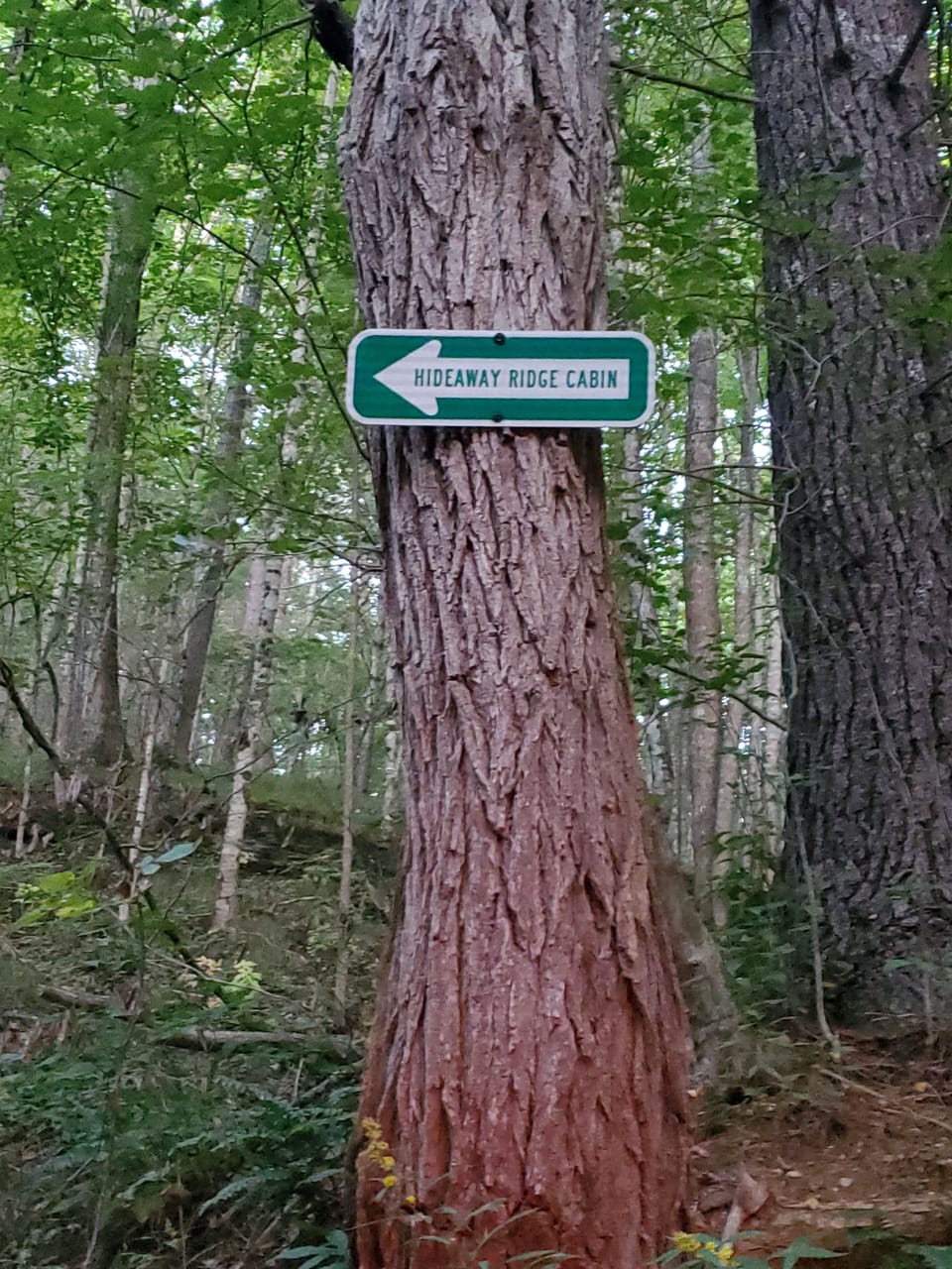 Direction arrow to cabin 