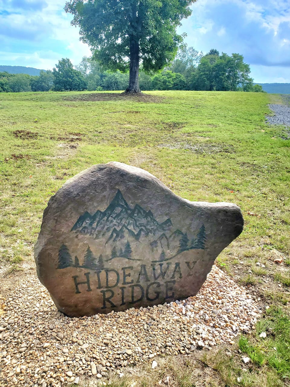 Property name