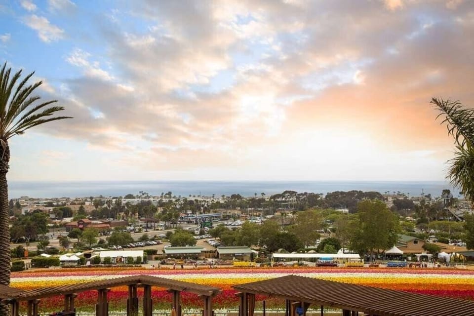 Grand Pacific Palisades_30_coastline-views.jpg