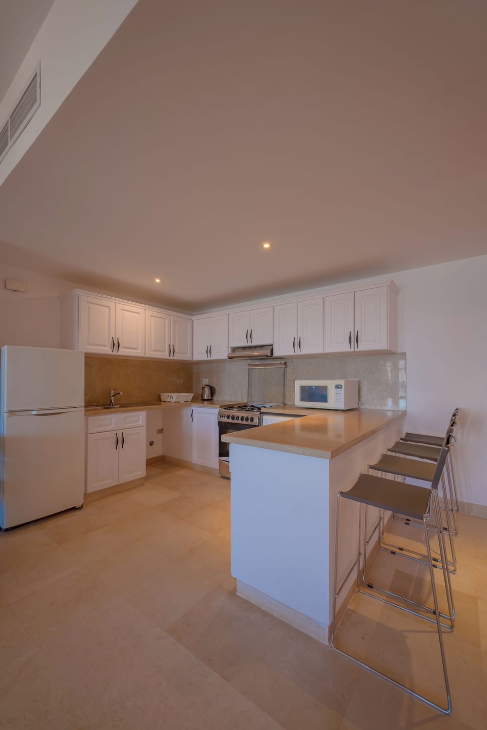 Luxury Apartment | Private kitchen | Fridge, microwave, cookware/dishes/utensils, paper towels