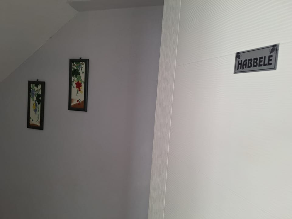 Economy Triple Room Basement Floor | Minibar, free WiFi, bed sheets