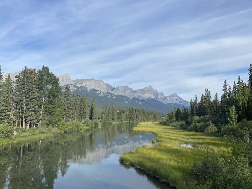 Gorgeous accessible trails along the nearby Bow River
