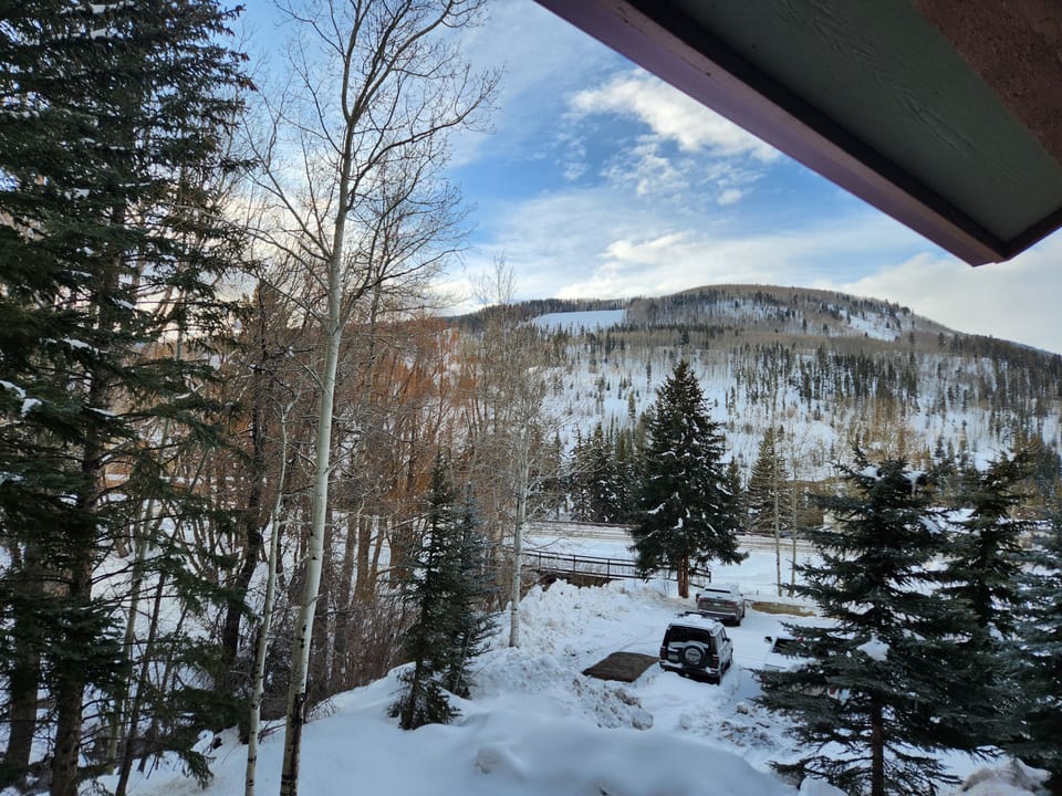 View from property