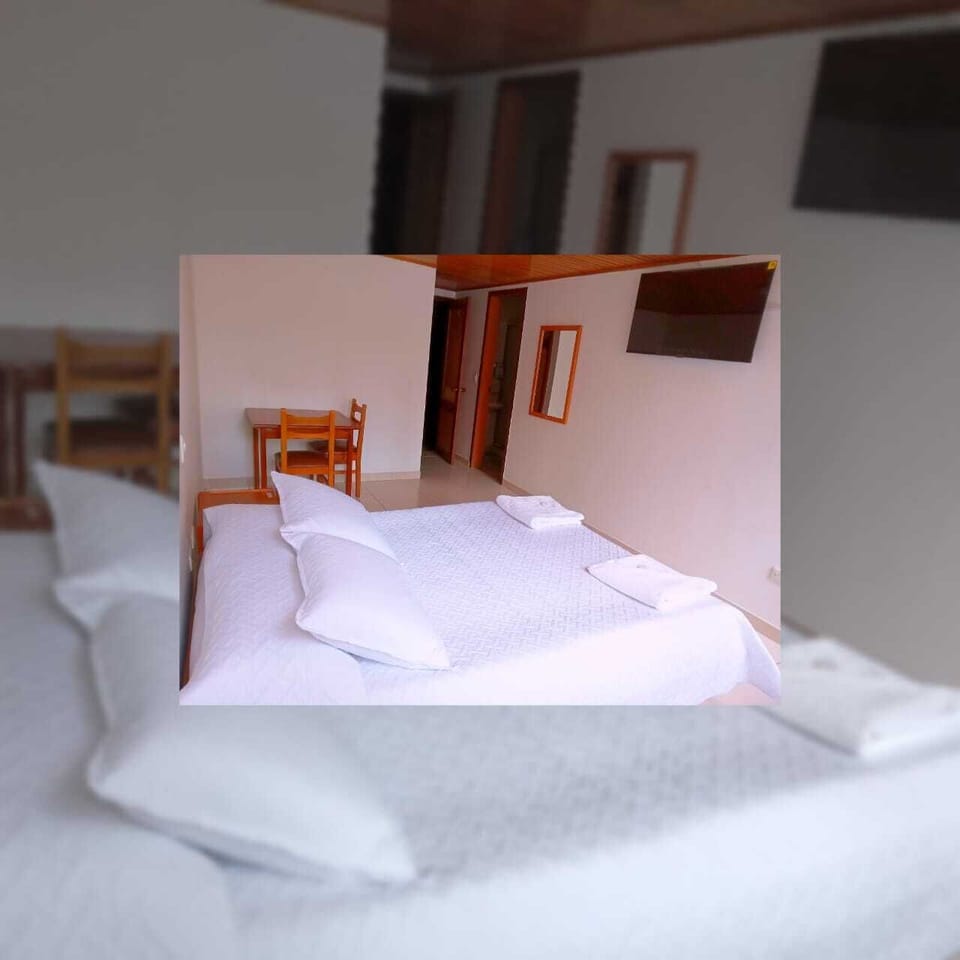 Executive Double Room | Down comforters, desk, laptop workspace, free WiFi