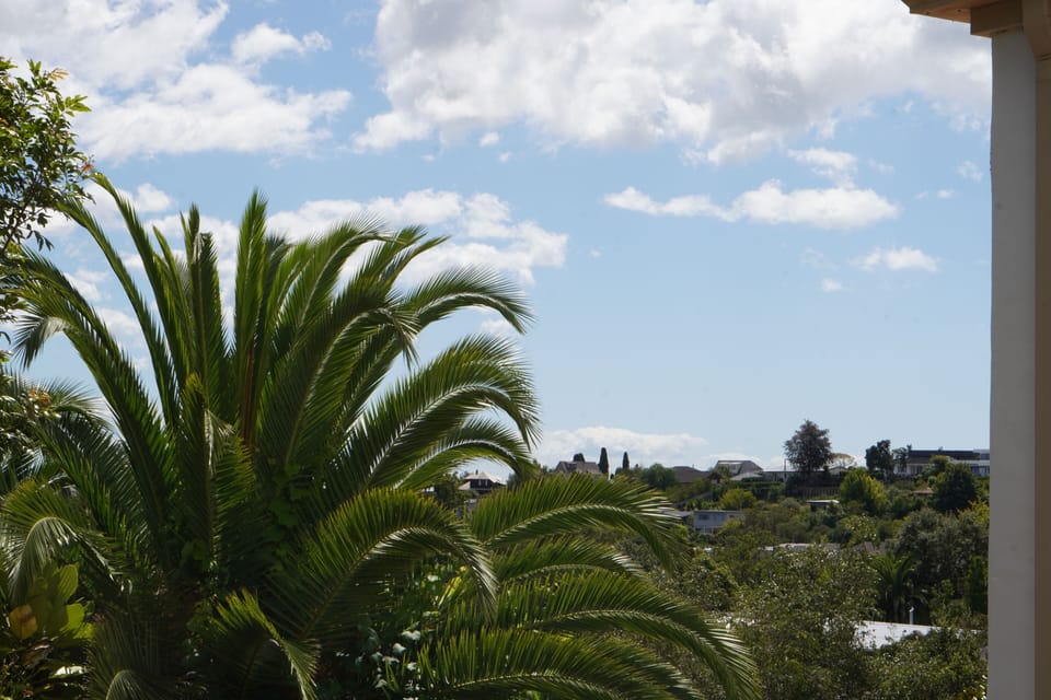 View from the deck.