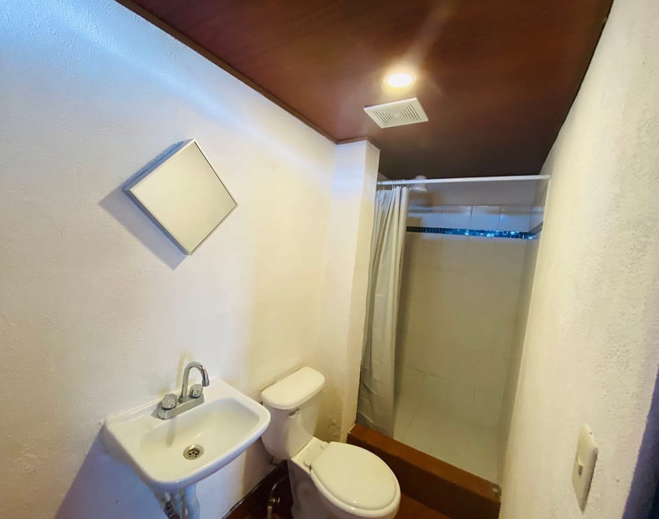 Classic Quadruple Room | Bathroom | Designer toiletries, towels, soap, shampoo