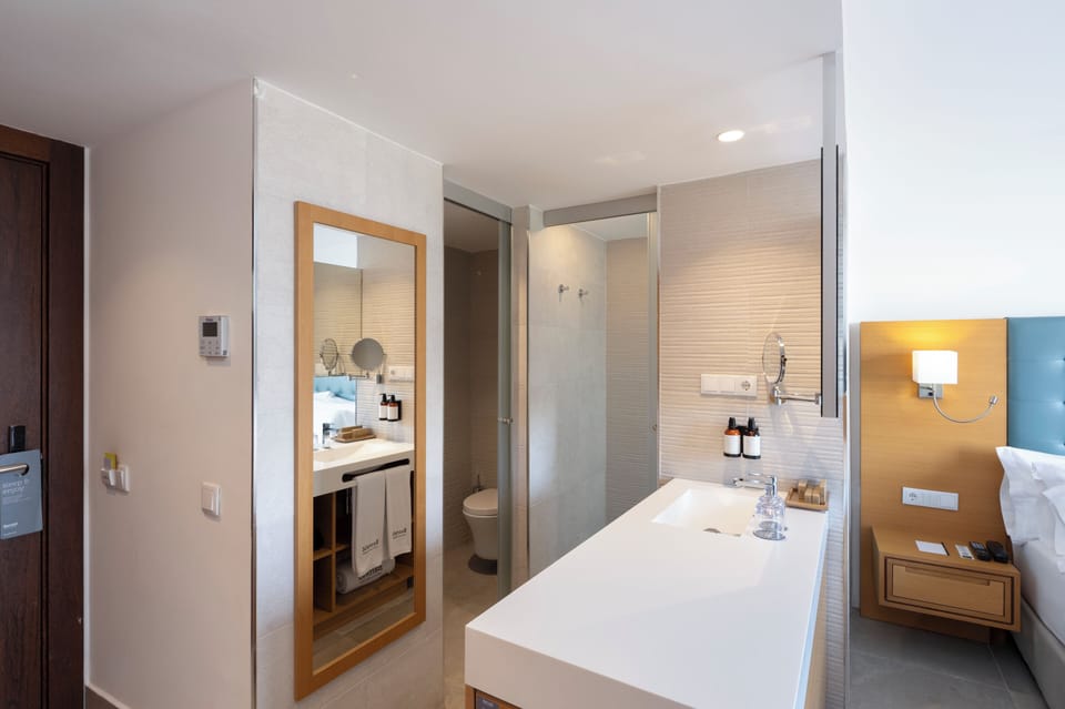 Deluxe Room | Bathroom | Shower, rainfall showerhead, free toiletries, hair dryer