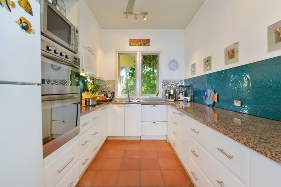 Port Ridge: all modern kitchen