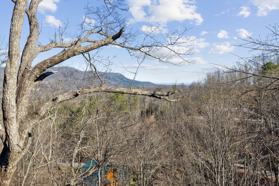 Mountain Views
